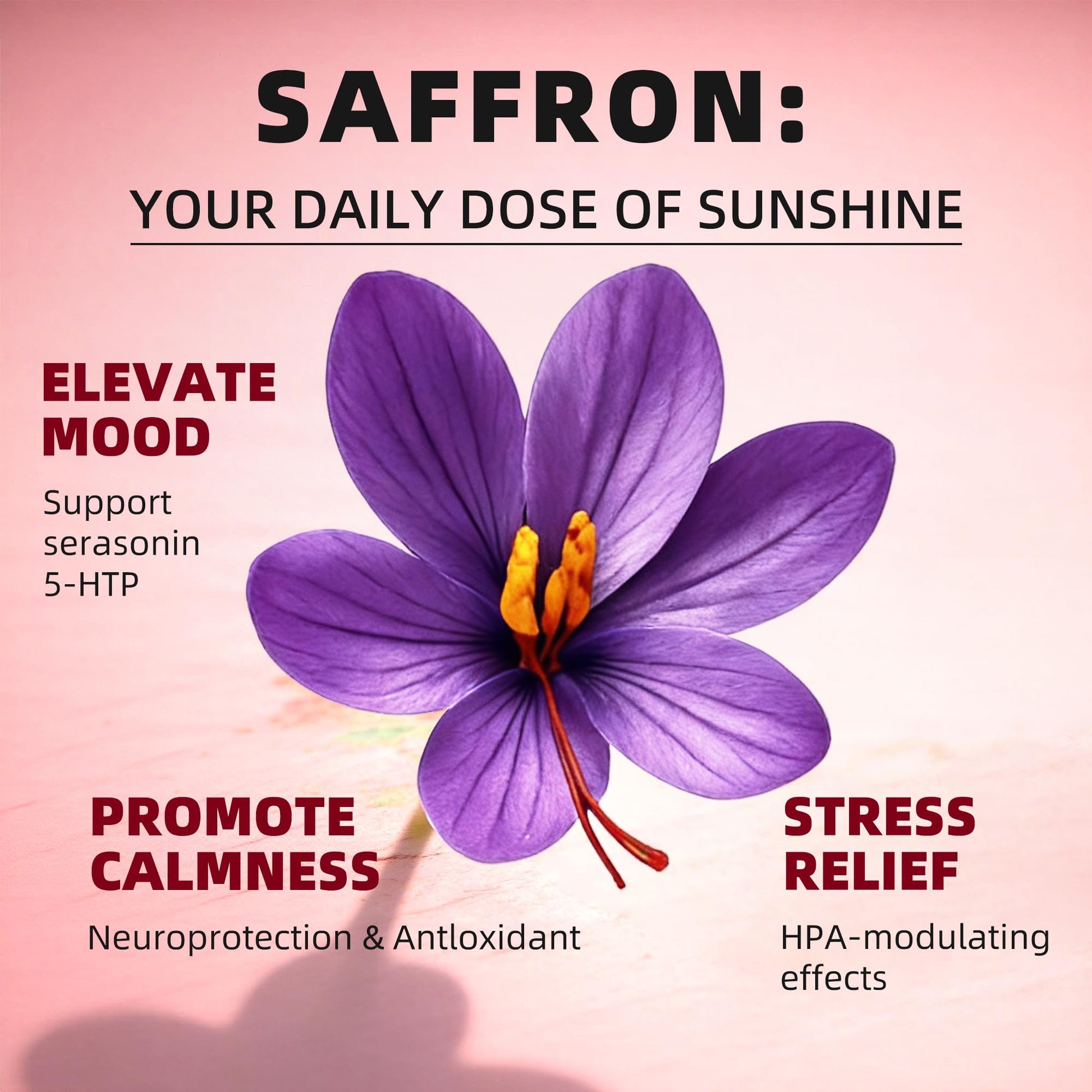 GREENPEOPLE Saffron Extract Supplements Drop - 24-in-1 88.5mg Saffron Extract with Ashwagandha,Black Cohosh & Lion's Mane for Mood&Focus,Stress Relief,Cortisol Reducer,Menopause – Vegan 2FL OZ GREENPEOPLEBuy Supplements Australia