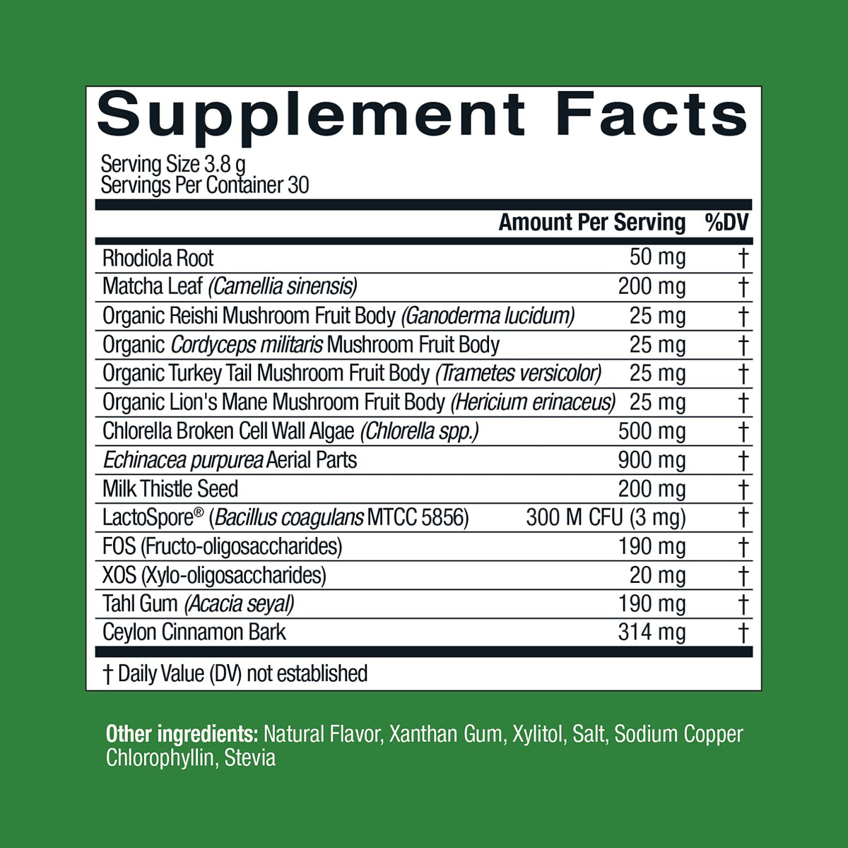 Live Conscious Beyond Greens Superfood Powder - Delicious Debloating Super Greens Powder - Matcha Greens Blend w/Chlorella, Echinacea, Probiotics for Immune Support & Energy Live ConsciousBuy Supplements Australia