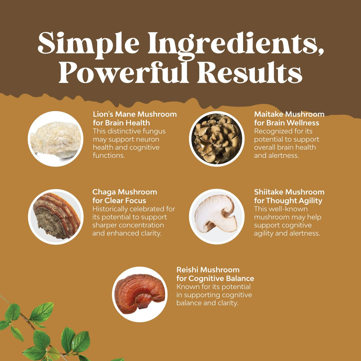 Advanced Lion's Mane Mushroom Supplement - Lions Mane Supplement Capsules with Reishi Chaga Maitake & Shiitake for Brain Health Memory Support & Focus - Nootropic for Mental Clarity - 120 Count Natures CraftBuy Supplements Australia