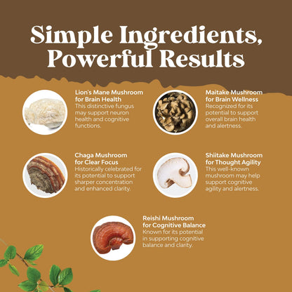 Advanced Lion's Mane Mushroom Supplement - Lions Mane Supplement Capsules with Reishi Chaga Maitake & Shiitake for Brain Health Memory Support & Focus - Nootropic for Mental Clarity - 120 Count Natures CraftBuy Supplements Australia