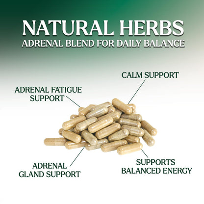 Nature's Nutrition Adrenal Support Supplements Cortex Complex, Best Energy Supplement, Supports Health & Energy Levels, Daily Ashwagandha for Women & Men, Supports Immune System, 120 Capsules Nature's NutritionBuy Supplements Australia