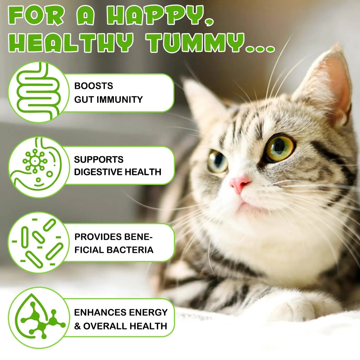 Liquid Cat Probiotic, Natural 3 in 1 Probiotic for Cats, Cat Digestive Support,Gut Health Support,Help with Diarrhea,Gas and Bloating, Cat Herbal Supplements- 60ml VOSIFSDIY buy supplements Au