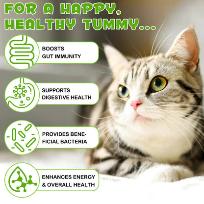 Liquid Cat Probiotic, Natural 3 in 1 Probiotic for Cats, Cat Digestive Support,Gut Health Support,Help with Diarrhea,Gas and Bloating, Cat Herbal Supplements- 60ml VOSIFSDIY buy supplements Au