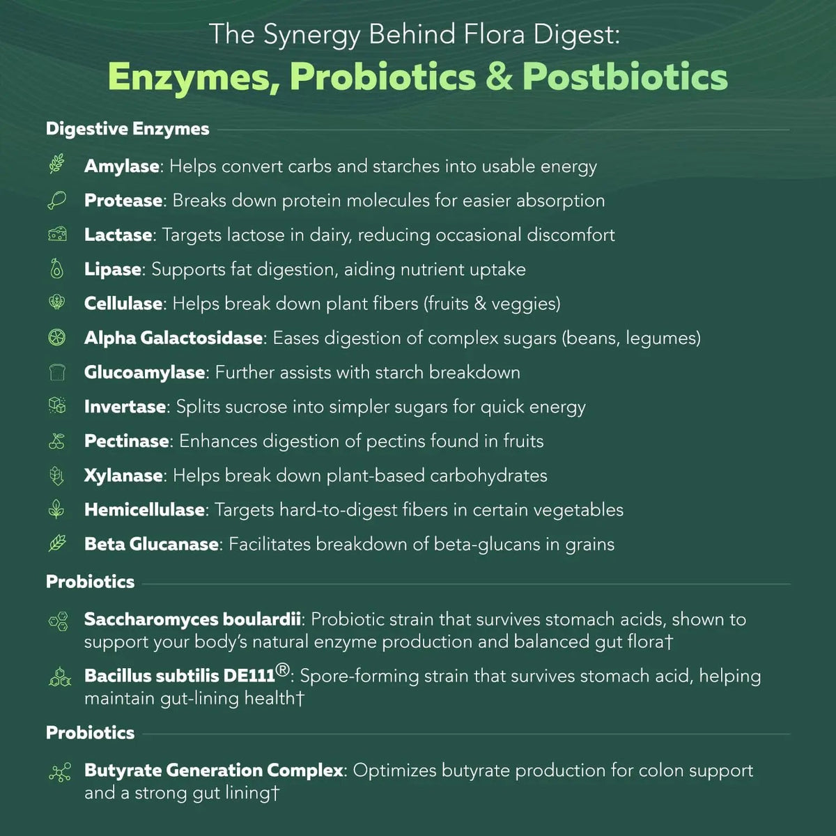 Flora Digest - 3-in-1 Max Strength Digestive Enzymes + Gut Surviving Probiotics & ButyraGen® Postbiotic for Optimal Digestion, Bloating Relief, Regularity, Gut Lining & Colon Support - (60 Capsules) Triquetra HealthBuy Supplements Australia