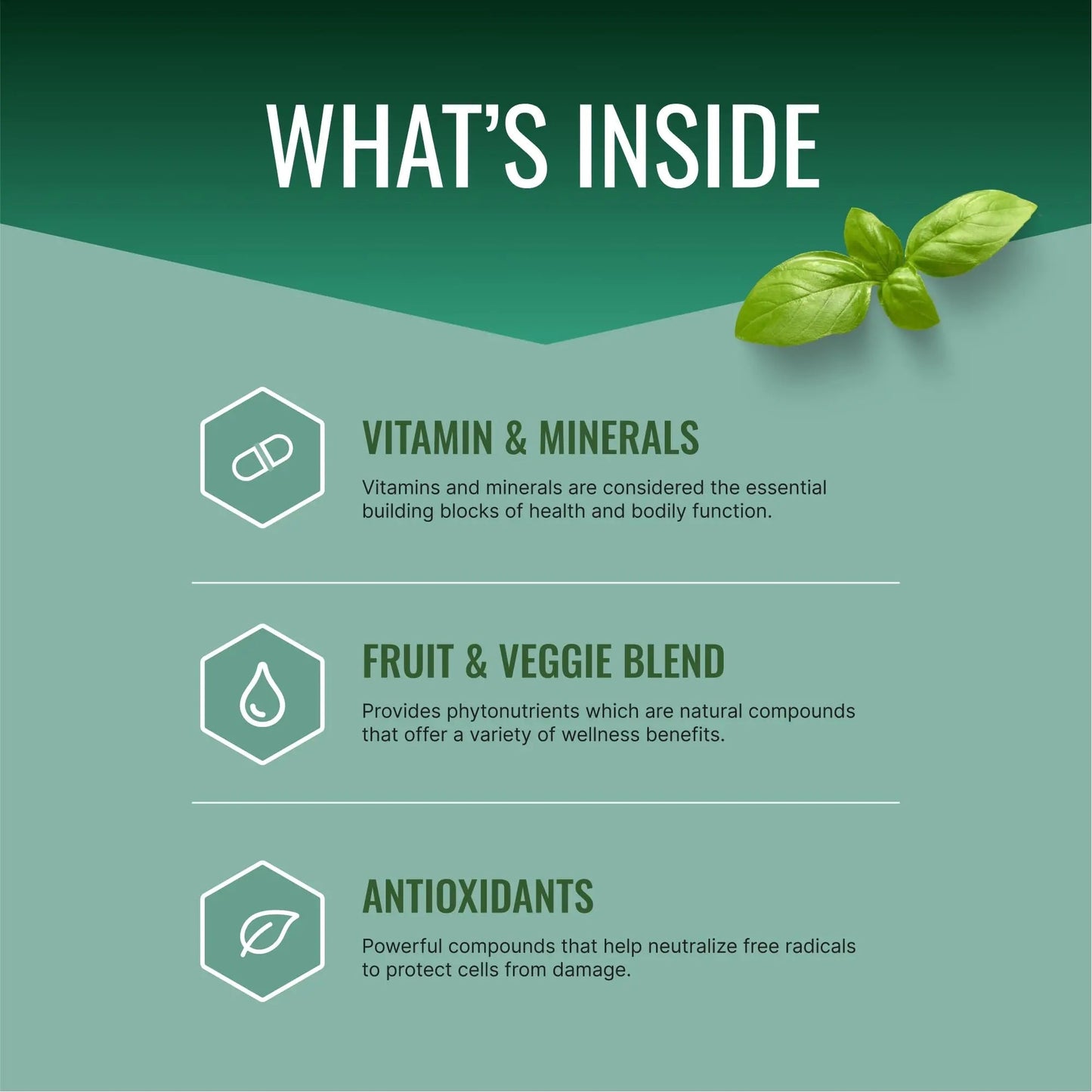 Approved Science Multi-Vitamin - with Full-Spectrum B-Vitamins, Green Tea, Lutein, Lycopene, Zeaxanthin, BioPerine Approved Science