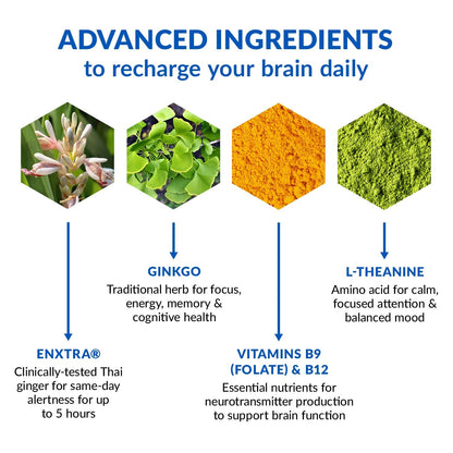 BioTrust Brain Bright – Daily Nootropic Boost for Focus, Concentration, Mental Clarity – Caffeine Free Nootropics Brain Support Supplement – Thai Ginger, Ginkgo, Folate, L-Theanine – 30 Servings BioTrustBuy Supplements Australia