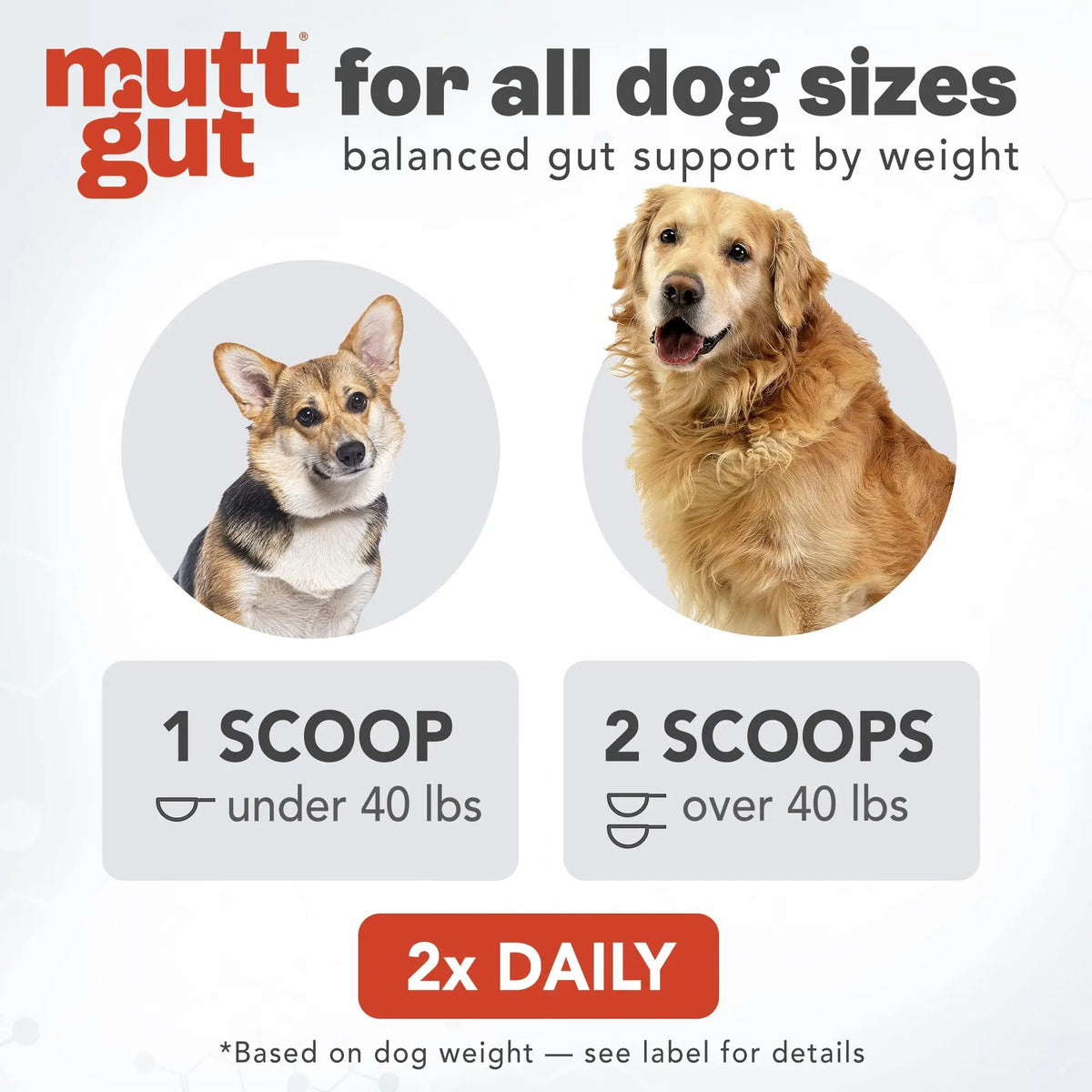 All-Natural 3-in-1 Dog Probiotic, Prebiotic, and Postbiotic Supplement Powder - Probiotics for Dogs with 135 Billion CFUs, Anti Diarrhea, Digestive Enzymes & Antioxidants (60g) MUTTGUTBuy Supplements Australia