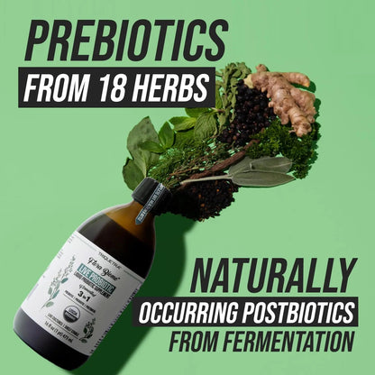 Flora Biome - Live Probiotic, Prebiotic, & Postbiotic – Organic Live-Culture – 10 Probiotic Strains, 18 Fermented Herbs - Complete Gut Health & Microbiome Optimizer (16 oz) Triquetra HealthBuy Supplements Australia