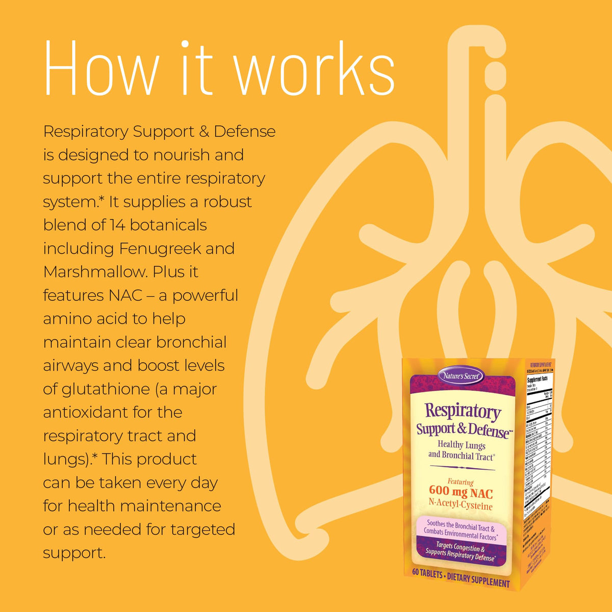 Nature's Secret Respiratory Support & Defense - 60 Tablets - Promotes Healthy Lungs & Bronchial Tract - With NAC, Fenugreek & Marshmallow - 30 Total Servings Nature's SecretBuy Supplements Australia