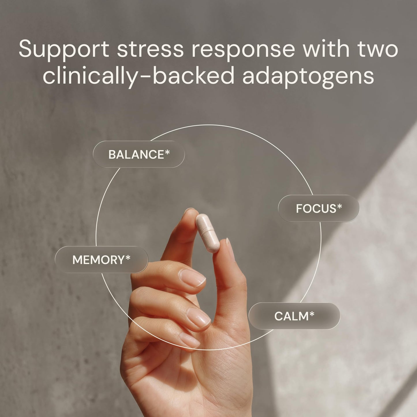 Blueprint Bryan Johnson Ashwagandha & Rhodiola Supplement – 120mg Ashwagandha + Rhodiola Root – Daily Adaptogen Capsules for Stress Support, Mood Balance, Energy & Focus – 30 Vegan Capsules Blueprint Bryan JohnsonBuy Supplements Australia