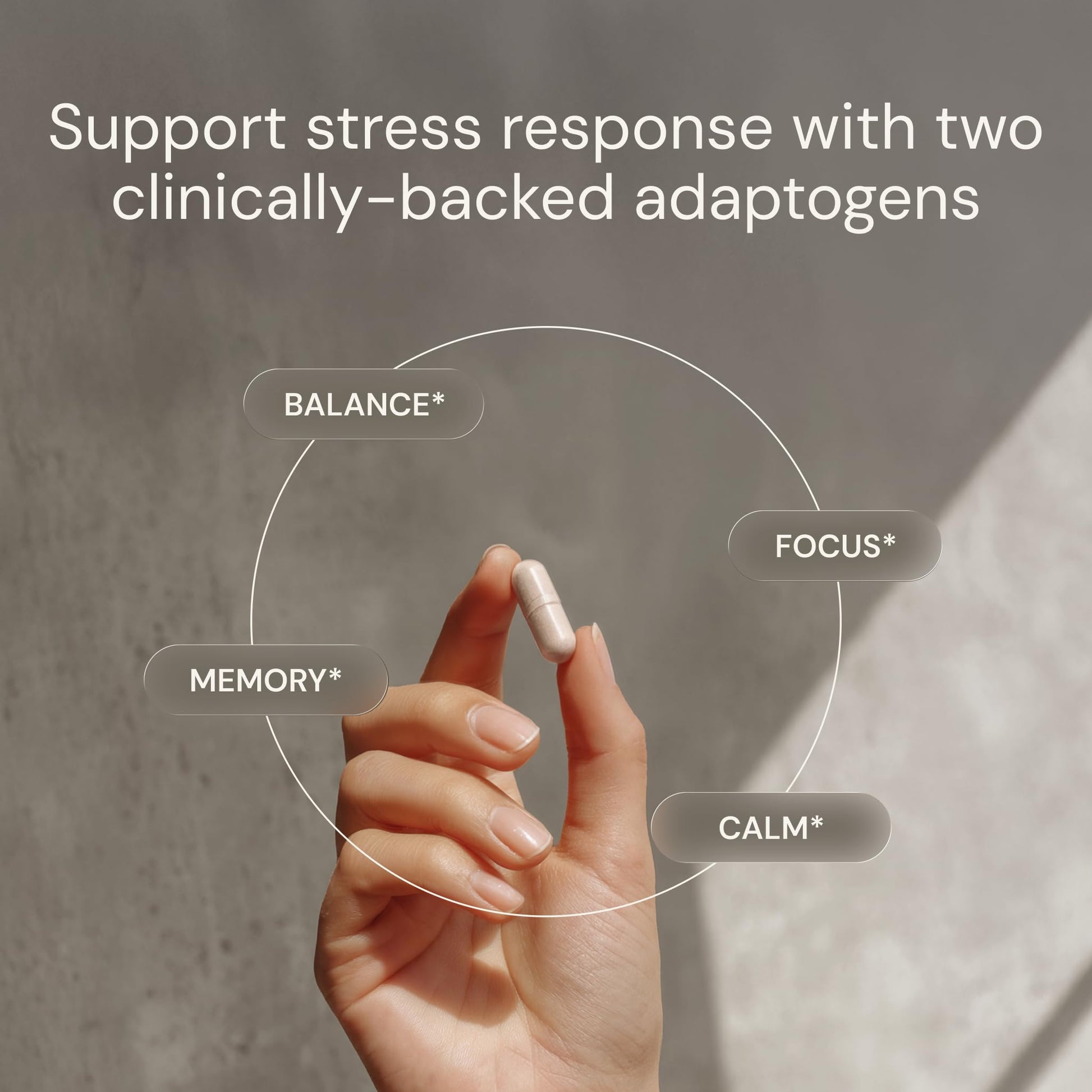 Blueprint Bryan Johnson Ashwagandha & Rhodiola Supplement – 120mg Ashwagandha + Rhodiola Root – Daily Adaptogen Capsules for Stress Support, Mood Balance, Energy & Focus – 30 Vegan Capsules Blueprint Bryan JohnsonBuy Supplements Australia