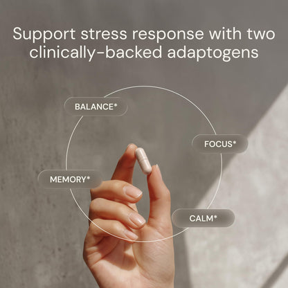 Blueprint Bryan Johnson Ashwagandha & Rhodiola Supplement – 120mg Ashwagandha + Rhodiola Root – Daily Adaptogen Capsules for Stress Support, Mood Balance, Energy & Focus – 30 Vegan Capsules Blueprint Bryan JohnsonBuy Supplements Australia