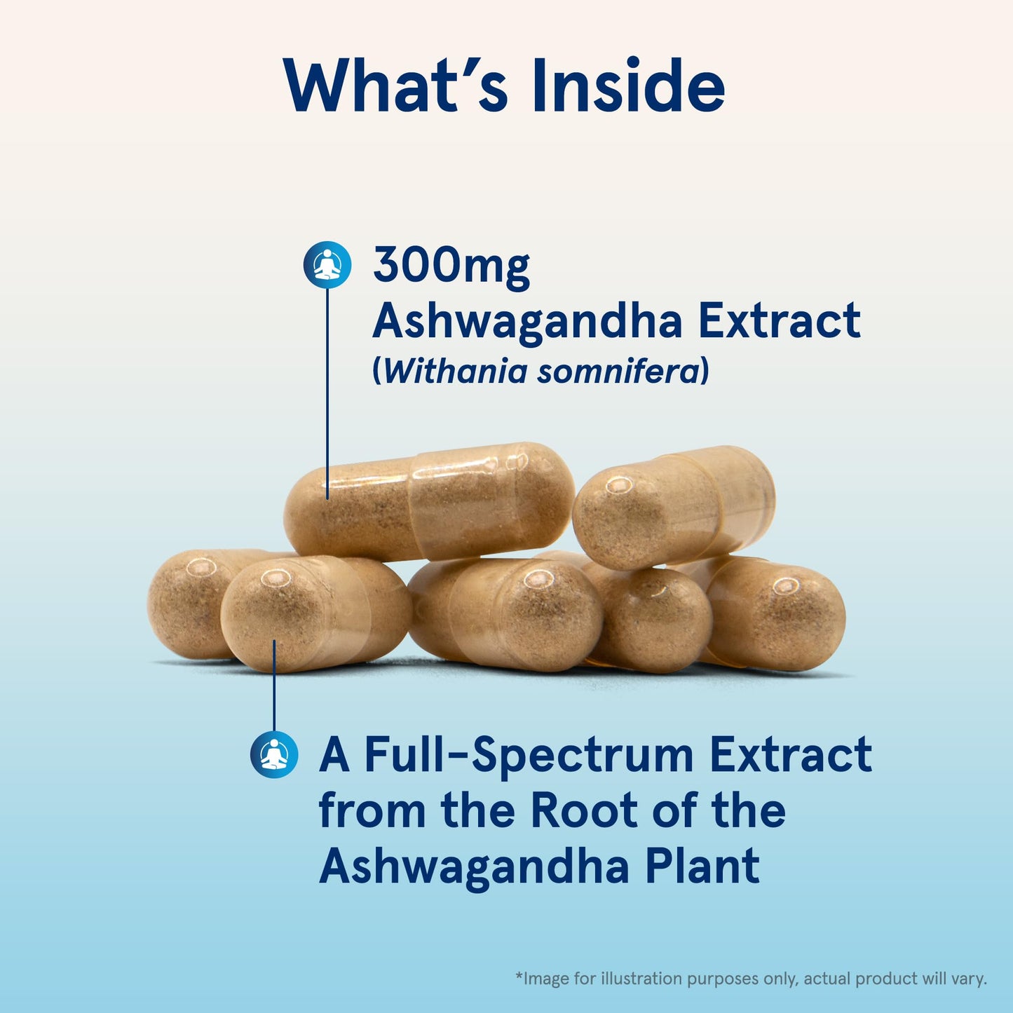 Jarrow Formulas Ashwagandha Capsules, 300 mg Supplement Supports Normalized Resistance to Mental and Physical Stress, 120 Veggie Capsules, 60 Day Supply Jarrow FormulasBuy Supplements Australia