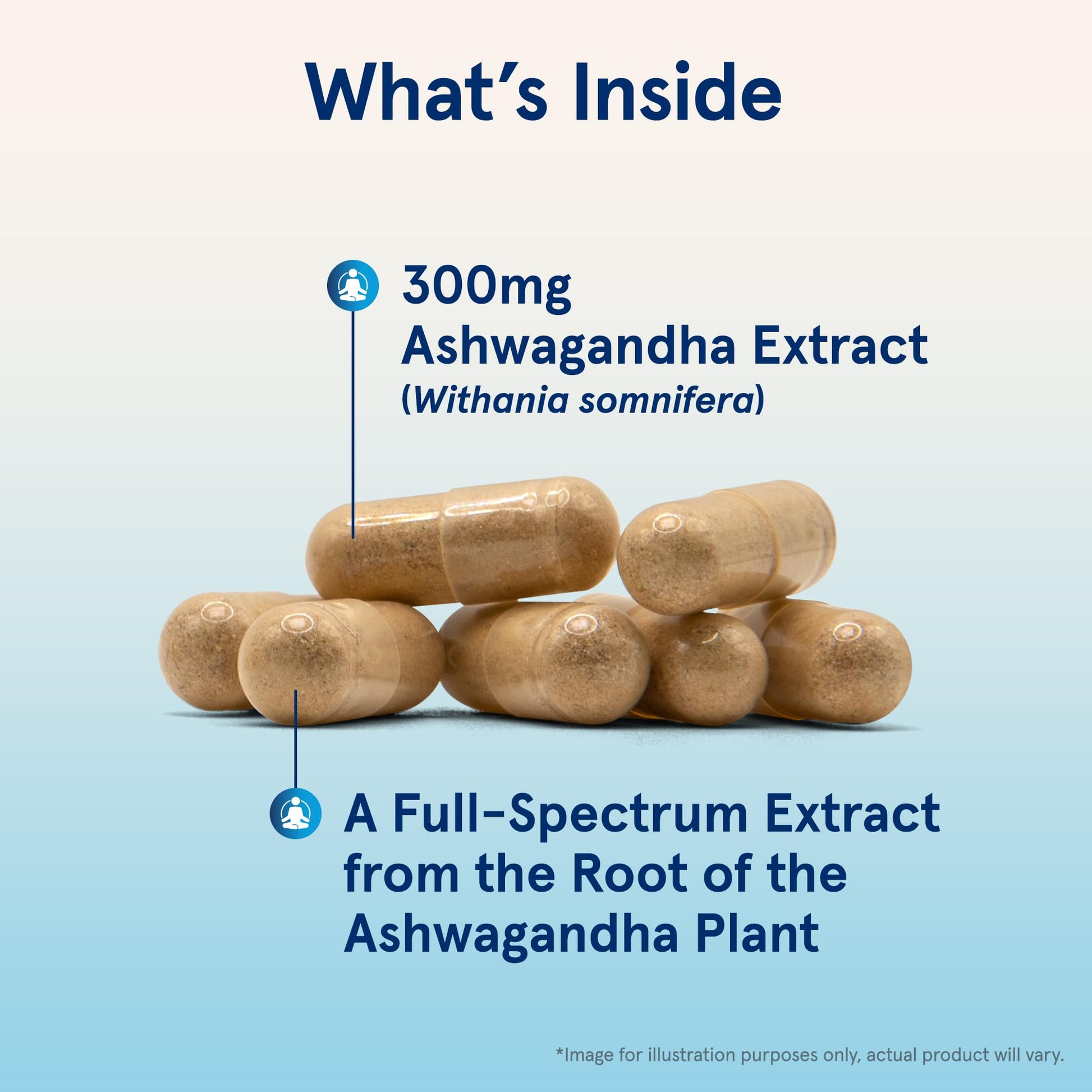 Jarrow Formulas Ashwagandha Capsules, 300 mg Supplement Supports Normalized Resistance to Mental and Physical Stress, 120 Veggie Capsules, 60 Day Supply Jarrow FormulasBuy Supplements Australia