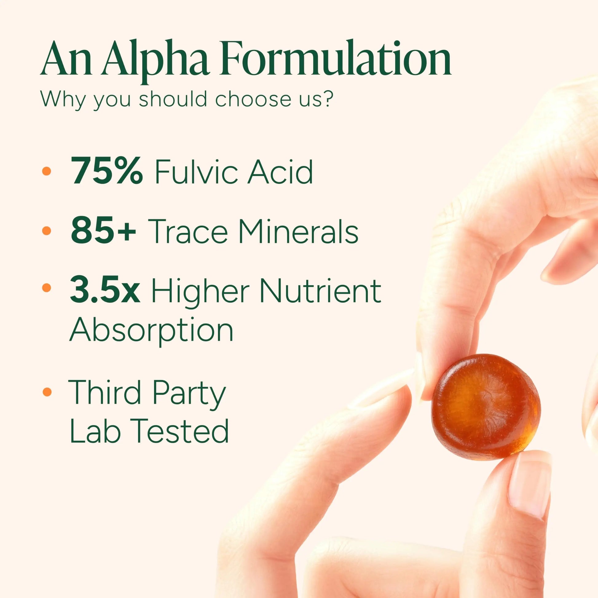 ROOT LABS 10-in-1 Alpha Shilajit Gummies | 4000 mg Pure Himalayan Shilajit with Tongkat Ali & Maca Root | Shilajit for Men & Women | ShilAbsorb Bioavailability Tech ROOT LABS canada supplements