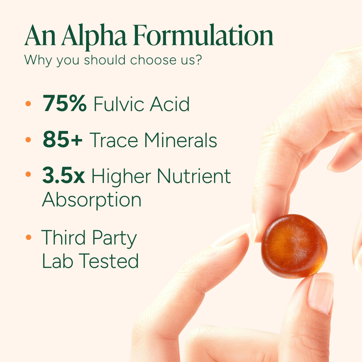 ROOT LABS 10-in-1 Alpha Shilajit Gummies | 4000 mg Pure Himalayan Shilajit with Tongkat Ali & Maca Root | Shilajit for Men & Women | ShilAbsorb Bioavailability Tech