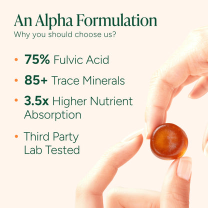 ROOT LABS 10-in-1 Alpha Shilajit Gummies | 4000 mg Pure Himalayan Shilajit with Tongkat Ali & Maca Root | Shilajit for Men & Women | ShilAbsorb Bioavailability Tech