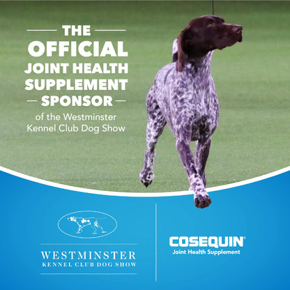 Nutramax Laboratories Cosequin Maximum Strength Joint Health Supplement for Dogs Nutramax LaboratoriesBuy Supplements Australia