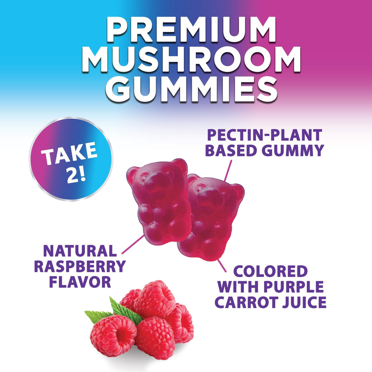 Mushroom Gummies Supplement 12 in 1 - High Grade Blend for Adults with Lions Mane, Reishi, Cordyceps, & Chaga Mushroom Complex Gummy, Memory & Immune Support & Nootropic Brain Supplements - 60 Gummies Nature's NutritionBuy Supplements Australia