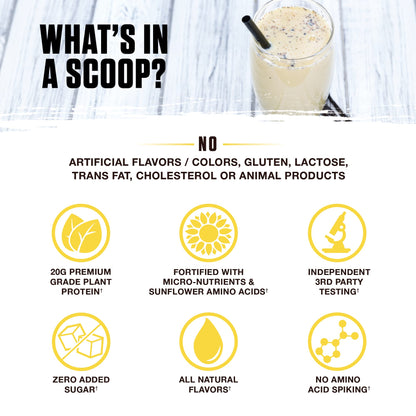 Ambrosia Plant Based Protein Powder 20g | Clean Vegan Pea Protein Powder | Gluten & Dairy Free, Keto Friendly, No Added Sugar | 14 Servings | Vanilla Ambrosia buy supplements Au