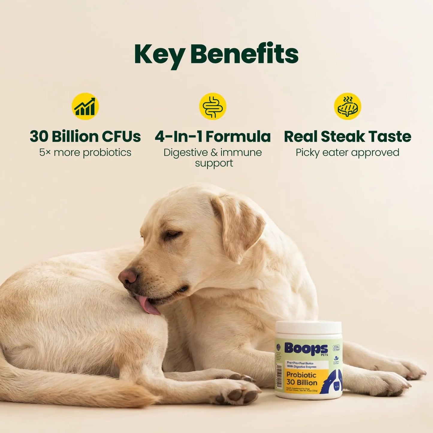 Boops Pets Probiotics for Dogs – 30 Billion CFU with Pre, Postbiotics & Digestive Enzymes – Supports Gut Health, Immunity, Loose Stools & Allergies – Filet Mignon Flavor – Vet Formulated – 60 Chews Boops PetsBuy Supplements Australia