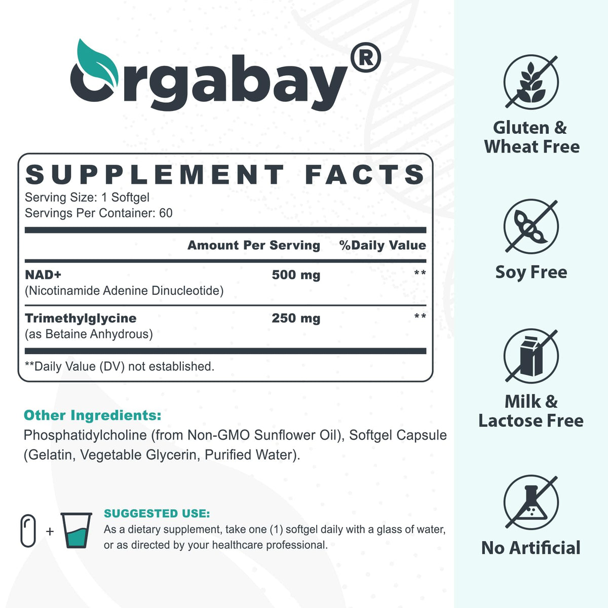 Orgabay Liposomal NAD+ Supplement 500 mg, High Absorption, Boost NAD+ with TMG 250 mg, Actual NAD Plus More Efficient Than Nicotinamide Riboside, Support Cellular Energy, Healthy Aging | 240 Softgels OrgabayBuy Supplements Australia