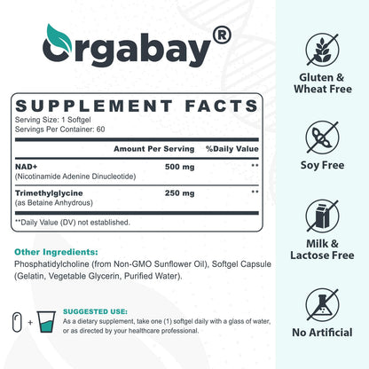 Orgabay Liposomal NAD+ Supplement 500 mg, High Absorption, Boost NAD+ with TMG 250 mg, Actual NAD Plus More Efficient Than Nicotinamide Riboside, Support Cellular Energy, Healthy Aging | 240 Softgels OrgabayBuy Supplements Australia