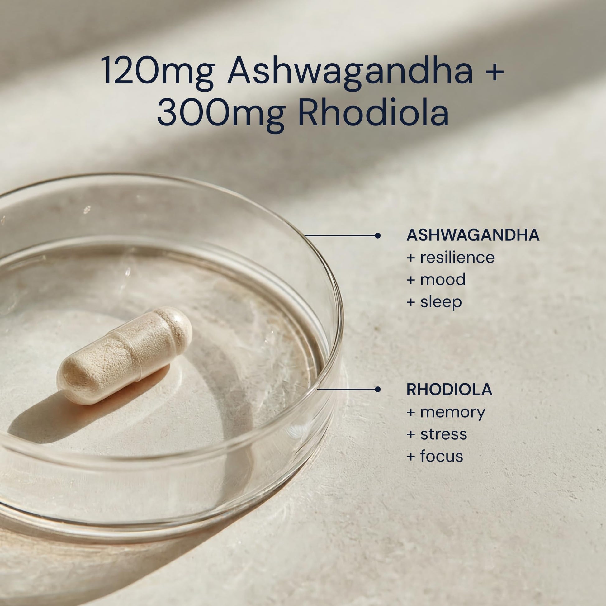 Blueprint Bryan Johnson Ashwagandha & Rhodiola Supplement – 120mg Ashwagandha + Rhodiola Root – Daily Adaptogen Capsules for Stress Support, Mood Balance, Energy & Focus – 30 Vegan Capsules Blueprint Bryan JohnsonBuy Supplements Australia