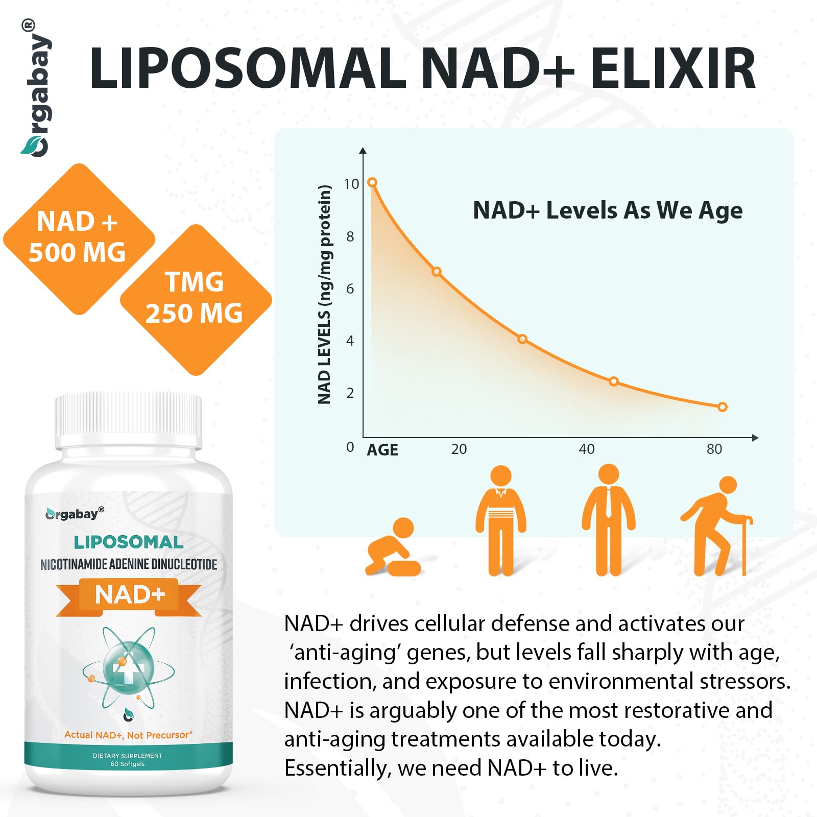 Orgabay Liposomal NAD+ Supplement 500 mg, High Absorption, Boost NAD+ with TMG 250 mg, Actual NAD Plus More Efficient Than Nicotinamide Riboside, Support Cellular Energy, Healthy Aging | 60 Softgels OrgabayBuy Supplements Australia