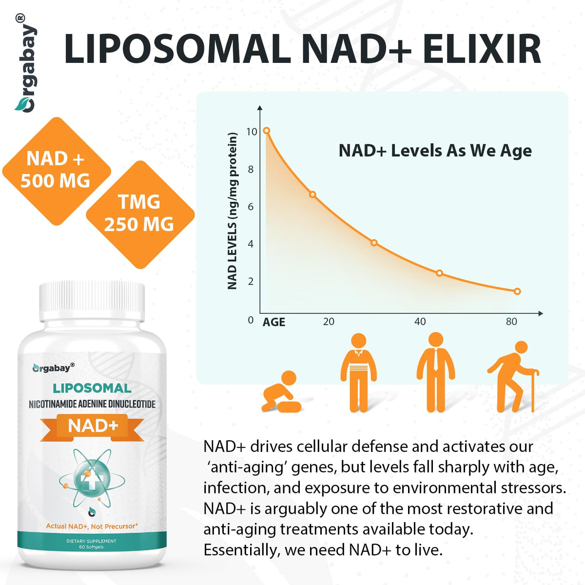Orgabay Liposomal NAD+ Supplement 500 mg, High Absorption, Boost NAD+ with TMG 250 mg, Actual NAD Plus More Efficient Than Nicotinamide Riboside, Support Cellular Energy, Healthy Aging | 180 Softgels OrgabayBuy Supplements Australia