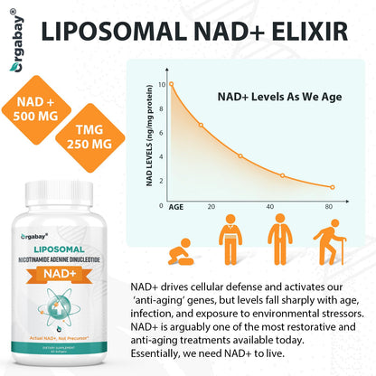 Orgabay Liposomal NAD+ Supplement 500 mg, High Absorption, Boost NAD+ with TMG 250 mg, Actual NAD Plus More Efficient Than Nicotinamide Riboside, Support Cellular Energy, Healthy Aging | 180 Softgels OrgabayBuy Supplements Australia