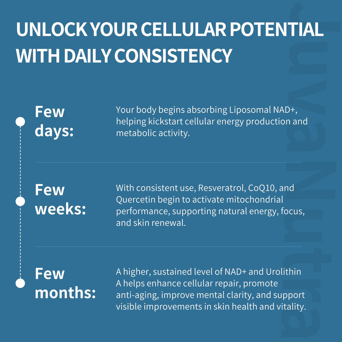NAD Supplement 11-in-1 Extra Strength – Liposomal NAD with Resveratrol, CoQ10, Urolithin A, ALA & Turmeric – Supports Anti-Aging, Cellular Repair, Energy & Focus – for Women & Men – 60 Capsules JuvaNutraBuy Supplements Australia