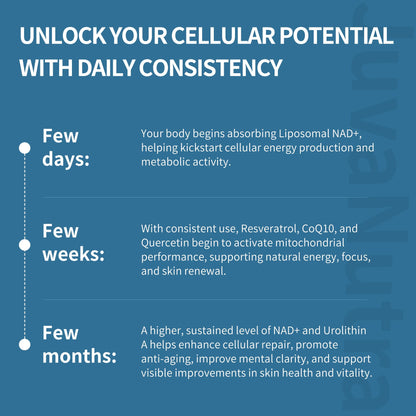 NAD Supplement 11-in-1 Extra Strength – Liposomal NAD with Resveratrol, CoQ10, Urolithin A, ALA & Turmeric – Supports Anti-Aging, Cellular Repair, Energy & Focus – for Women & Men – 60 Capsules JuvaNutraBuy Supplements Australia
