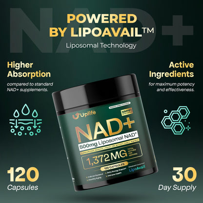 UPLIFE NAD+ Supplement 1,372mg – Liposomal NAD+ with CoQ10, Resveratrol, Spermidine, L-Theanine, Apigenin & PQQ – NMNH Alternative Booster Cellular Energy, Healthy Aging, Immune Health – 120 Capsules UPLIFEBuy Supplements Australia