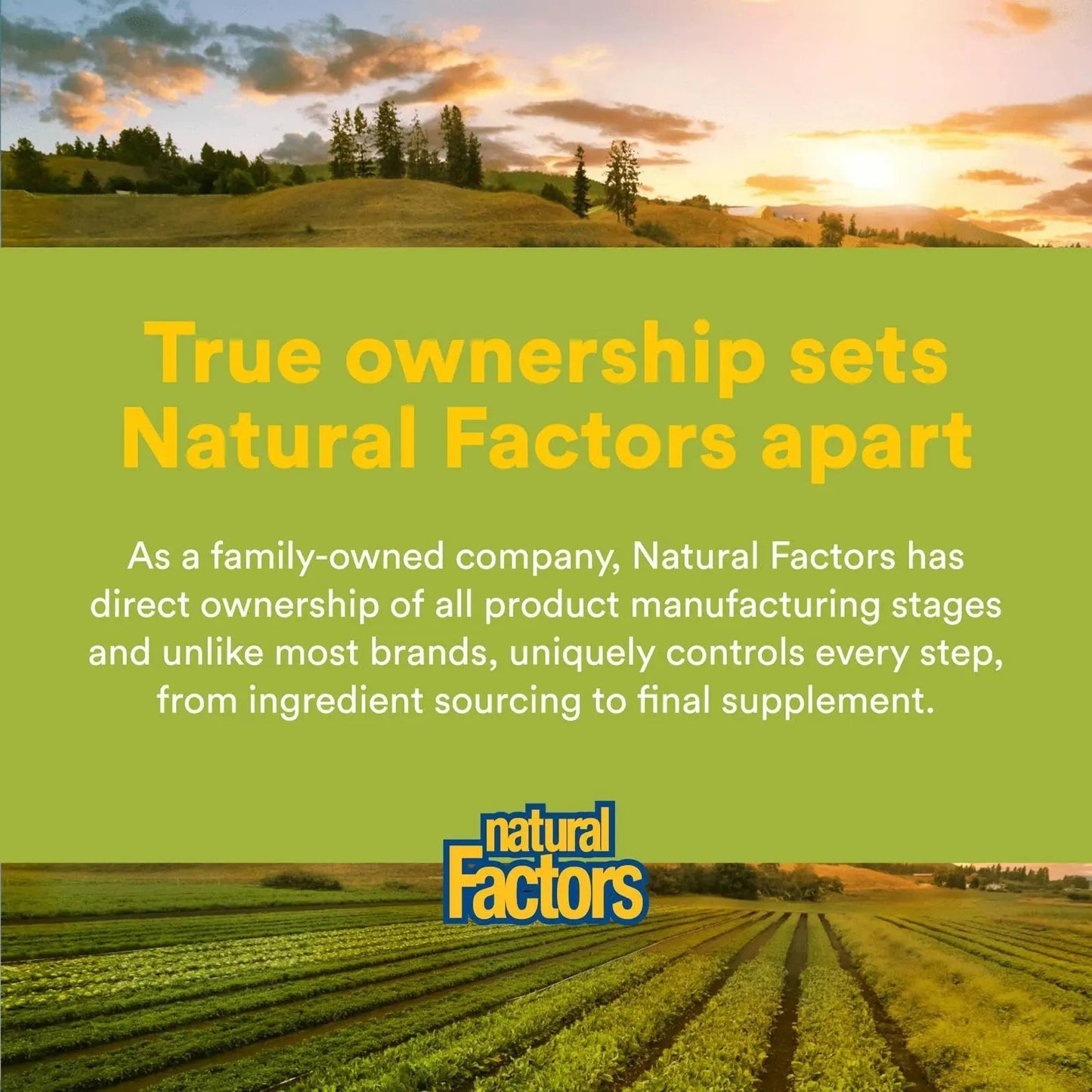 Natural Factors Whole Earth & Sea Men's Multivitamin s& Mineral, 1 Serving Contains Nutrition Equivalent to ½ lb of Veggies, 120 Tablets Natural Factors