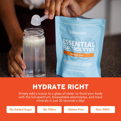 Paleovalley Essential Electrolytes Powder - Full Spectrum Orange Electrolyte Powder for Hydration, Energy and Muscle Recovery - No Sugar Added - 30 Servings PaleovalleyBuy Supplements Australia