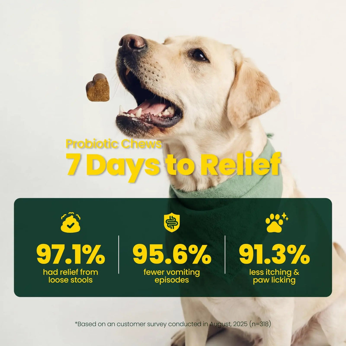 Boops Pets Probiotics for Dogs – 30 Billion CFU with Pre, Postbiotics & Digestive Enzymes – Supports Gut Health, Immunity, Loose Stools & Allergies – Filet Mignon Flavor – Vet Formulated – 60 Chews Boops PetsBuy Supplements Australia