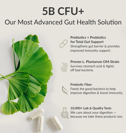 BIOptimizers Probiotic Breakthrough – Lactobacillus Plantarum OM Probiotics & Prebiotics Health Supplement for Gut, Digestive & Immune Support Probiotics for Women Men Elderly– 30 Vegan Capsules BIOptimizersBuy Supplements Australia