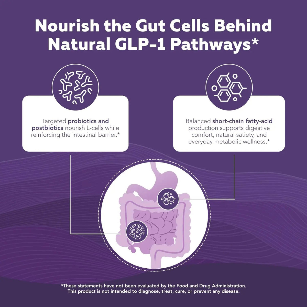 GLP-Pro™: Probiotic & Postbiotic Blend for Natural GLP-1 Support — Akkermansia MucT™, ButyraGen® Butyrate Generator & Spore Bacillus — Healthy Appetite, SCFA & Metabolic Balance — 30 Count Triquetra HealthBuy Supplements Australia