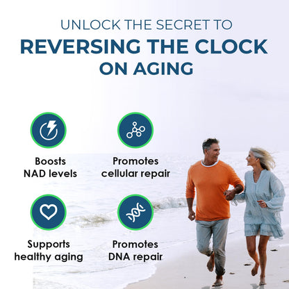 2010 MG NAD+ Supplement- Nicotinamide Riboside, Resveratrol, Quercetin & BioPerine® (High Absorption)- Natural NAD Booster for Anti-Aging, Cellular Energy, Skin- For Women & Men- 90 V Capsules Rainbow Nutrients, LLCBuy Supplements Australia