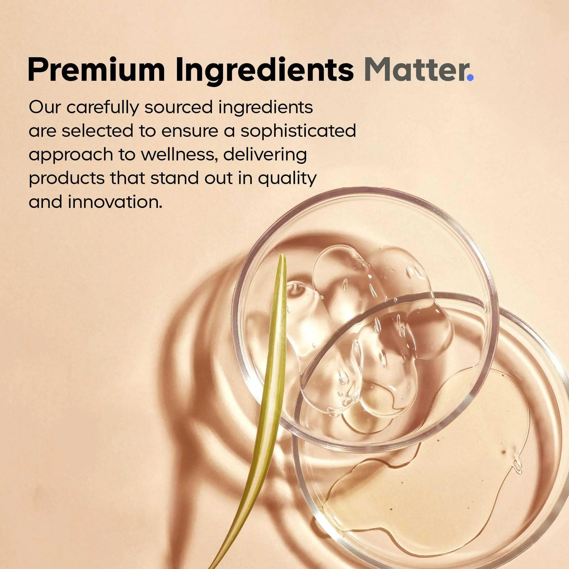 Codeage Liposomal NMNH Platinum - 500 mg NMNH Supplement, NAD+ Precursor with Quercetin, Pterostilbene, Apigenin, Active B Vitamins B2 Riboflavin & Vitamin B12 Methylcobalamin - Non-GMO - 60 Capsules CodeageBuy Supplements Australia