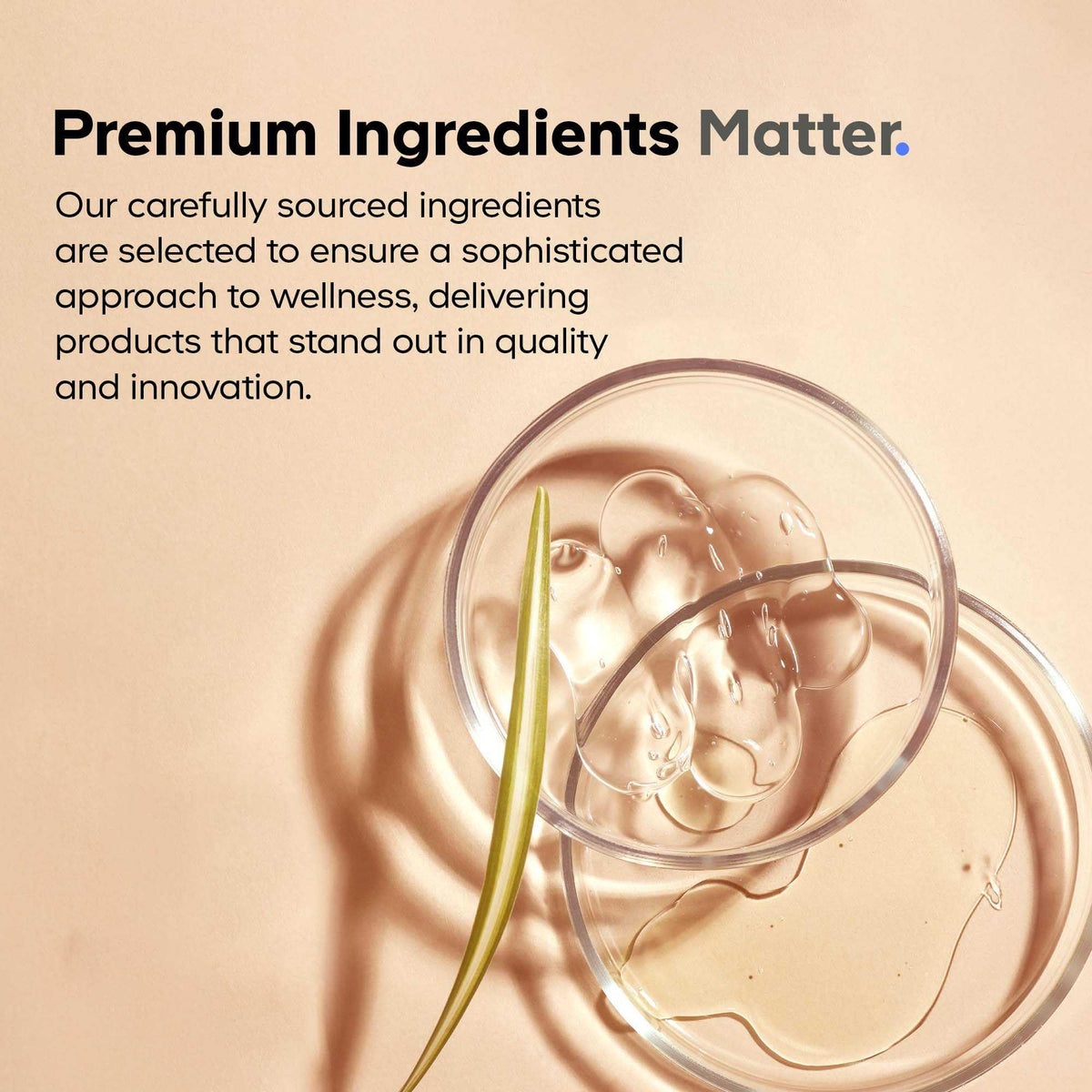 Codeage SBO Probiotics, 50 Billion CFUs Per Serving, Multi Strain Soil Based Organisms Blend and Organic Fermented Botanical Blend, Shelf-Stable, 90 Capsules CodeageBuy Supplements Australia