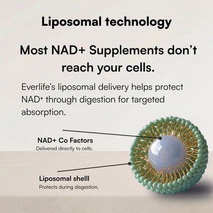 Everlife Liposomal NAD+ Liquid Supplement – 150mg Shot with Liposomal Trans-Resveratrol, TMG & Glycine – Boosts Energy, Cellular Repair, Healthy Aging & Longevity – NMNH Alternative – 30 Servings EverlifeBuy Supplements Australia