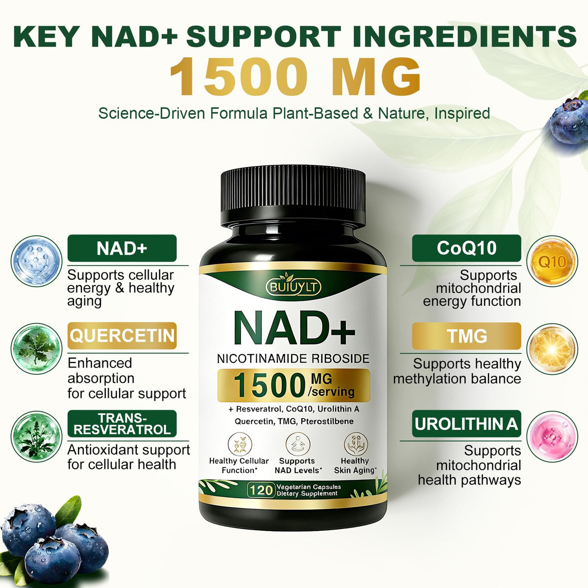 BUIUYLT NAD+ Supplement 1500mg, NR NMN Replacement with Resveratrol, Urolithin A, CoQ10 & Quercetin for Cellular Energy, Healthy Aging & Stamina for Women & Men - 120 Capsules BUIUYLTBuy Supplements Australia