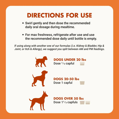 Pre & PostBiotic Support for Dogs – Digestive Upset, Stool Quality & Sensitive Stomach Support – Easy Liquid Formula for Picky Eaters LIQUID-VETBuy Supplements Australia
