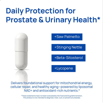 Liposomal NAD Supplement for Men – NMN Supplement Nitric Oxide Prostate Health Supplements with Resveratrol, CoQ10, L Citrulline and Lycopene for Anti-Aging & Cellular Energy Support 60 Capsules SelerbBuy Supplements Australia