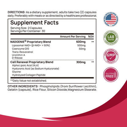NAD+ Supplement for Women - NMN Alternative with β-NAD+, Trans-Resveratrol, CoQ10, D-Ribose - Promotes Cellular Renewal, Energy, and Radiant Skin Health - 60 Capsules Advanced SelerbBuy Supplements Australia