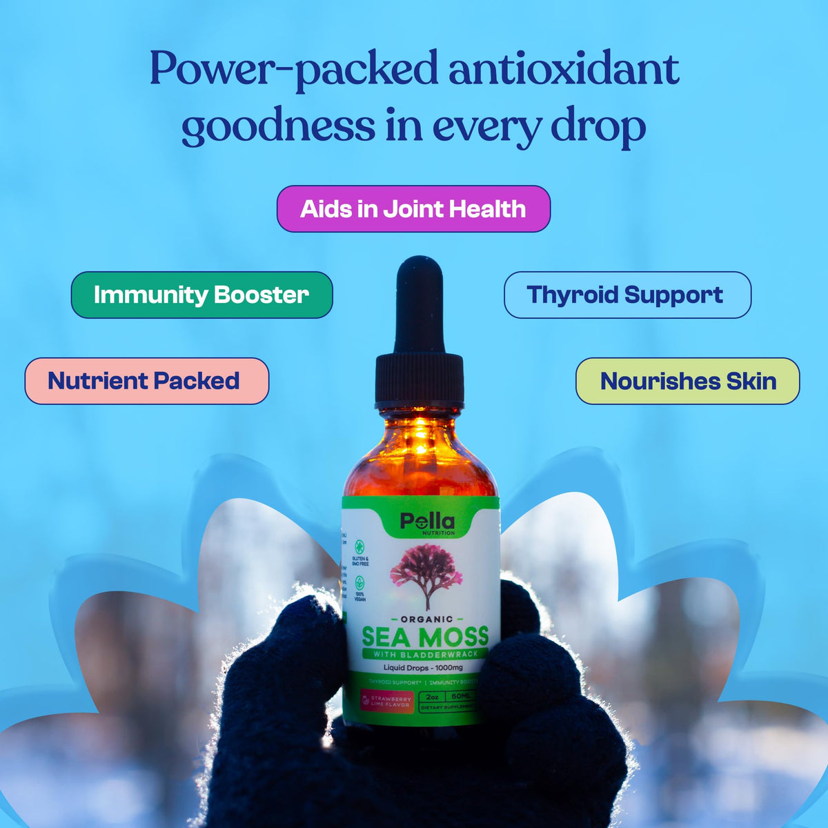 Organic Sea Moss Drops - 1000mg Irish Sea Moss - 4X Stronger than Sea Moss Gel Pella NutritionBuy Supplements Australia