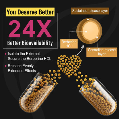 Berberine Supplement 1200mg Berberine HCL - High Bioavailability Microbeadlet CanarataBuy Supplements Australia