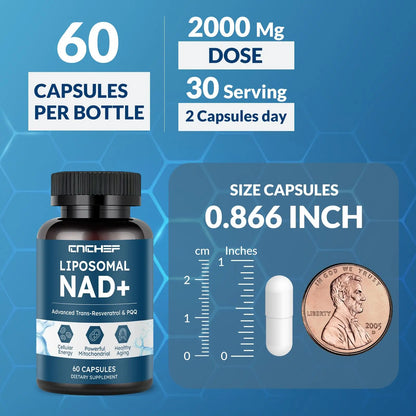 CNCHEF Liposomal NAD Supplement -1000mg, NAD Resveratrol Supplement for Women & Men with Nicotinamide Riboside, Resveratrol, PQQ & TMG, NAD Plus Boosts NAD+ Levels, Anti-Aging & Brain, 60 Capsules CNCHEFBuy Supplements Australia